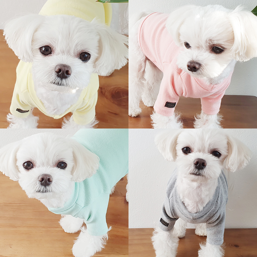 강아지기본티 마카롱 베이직 티셔츠
